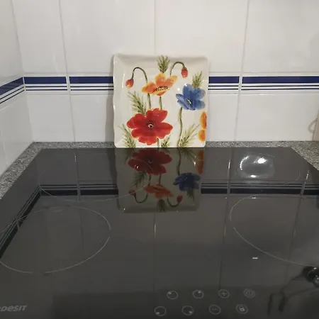 South Апартаменты